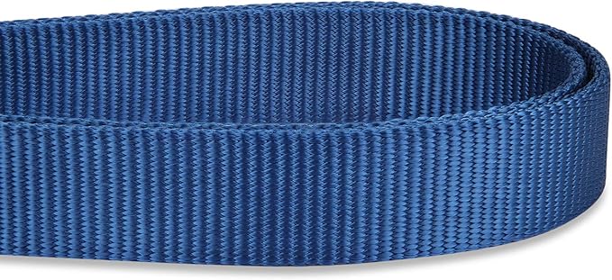 Hyhug Nylon Adjustable 4-6ft Dog Leash with Soft Neoprene Padded Handle, Durable Heavy Duty Leash with Easy-to-Use Bolt Snap, Ideal for Jogging Outdoor