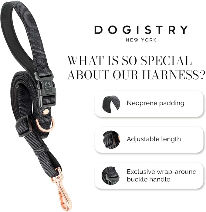 The DOGISTRY - City Dog Leash - Black - Award-Winning Adjustable Hands-Free Design - Luxe Rose Gold Hardware & Style-Forward Functionality - Medium