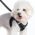 Sparkly Dog Harness Small Sized and Leash Set for Small Dogs Cats,Black XXS Puppy Harness, Step in Soft Dog Reflective Vest, Breathable Mesh Pet Harness. (Black, XXS)