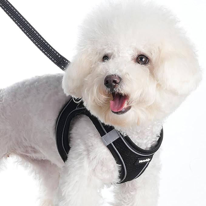 Sparkly Dog Harness Small Sized and Leash Set for Small Dogs Cats,Black XXS Puppy Harness, Step in Soft Dog Reflective Vest, Breathable Mesh Pet Harness. (Black, XXS)