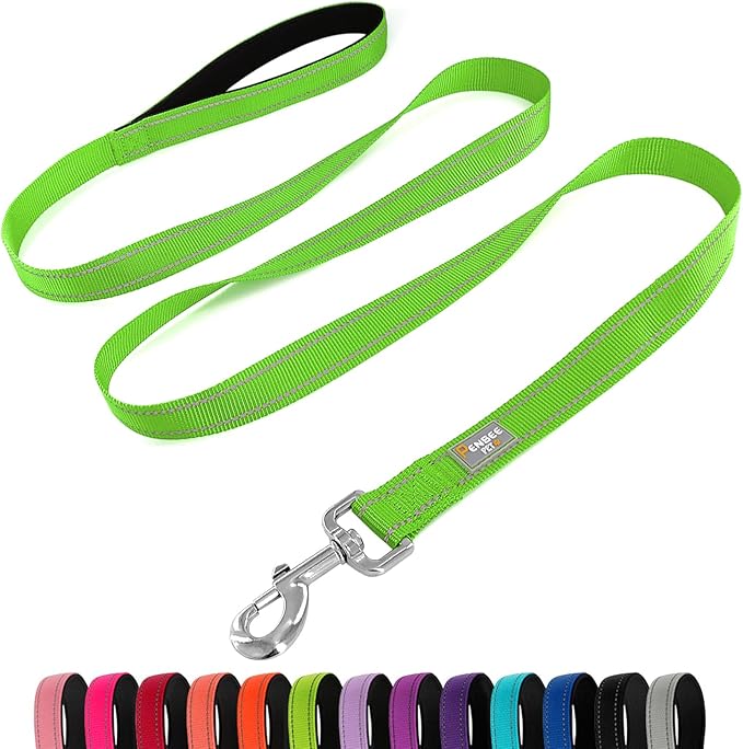 Dog Leash 6 FT Padded Handle Nylon Reflective Dogs Leashes for Large Dogs Green
