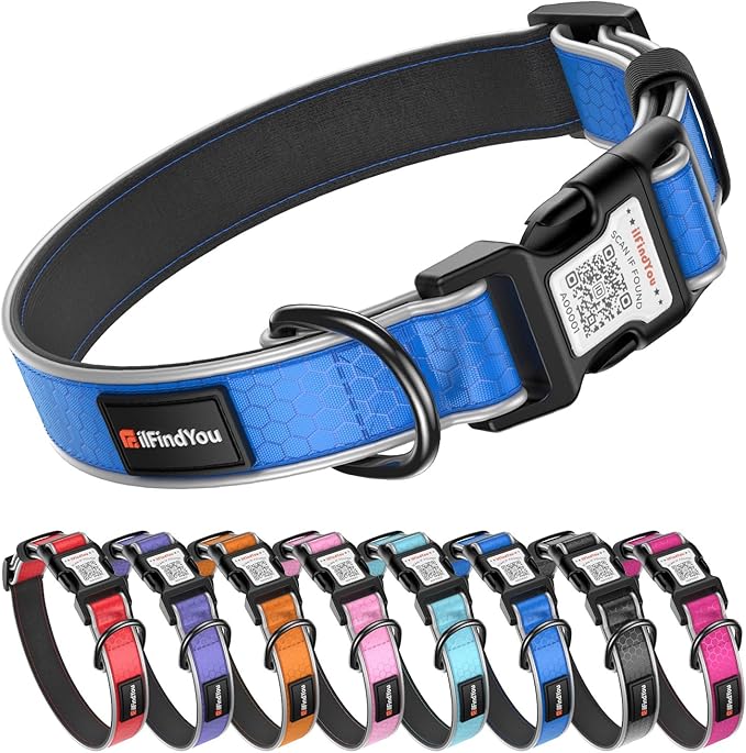 Reflective Dog Collar with QR Code Tag, Personalized Dog Collar, Safety Night Visibility, Anti-Loss Function (Blue-02, Medium)