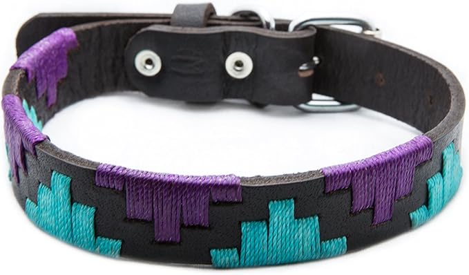 Gaucho Goods Leather Big Dog Collar - Miami (XL)
