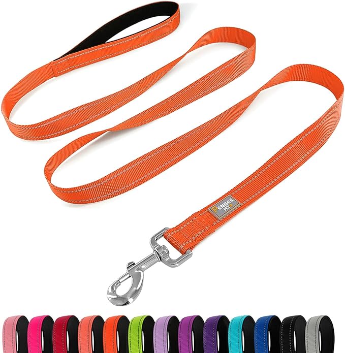 Reflective Dog Leash 6 FT Padded Handle Nylon Dogs Leashes for Large Dogs Orange