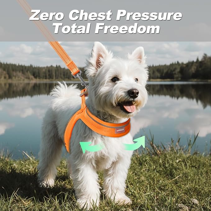 Dog Harness and Leash Set,Step in Small Sized Dog Harness,Soft Mesh,No-Chock,Reflective Adjustable,Secure with Hook & Loop Fastener,Puppy Vest for Small,Medium Dogs(Orange,XXS)