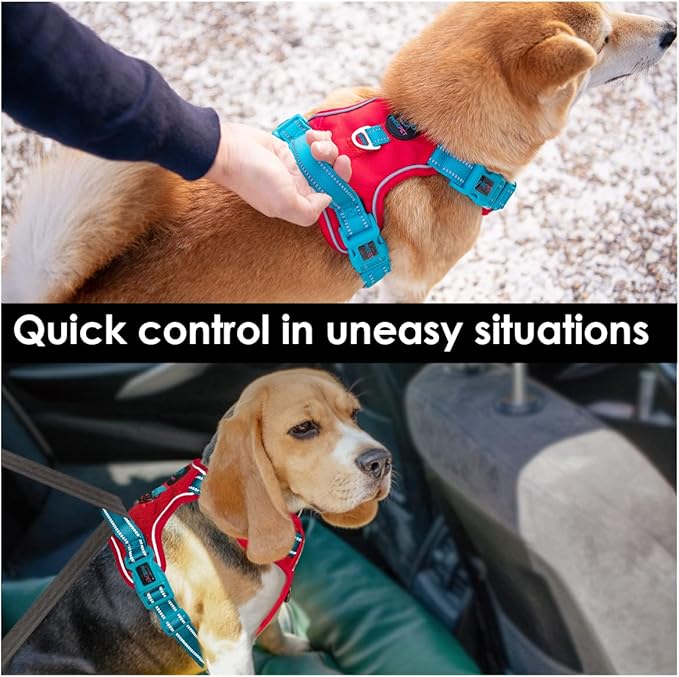 PHOEPET No Pull Dog Harness, Unique Colors Reflective Adjustable Dog Vest, with Soft Training Handle Metal Clips for Small Medium Large Dogs (Red Base & Teal Straps,XS)