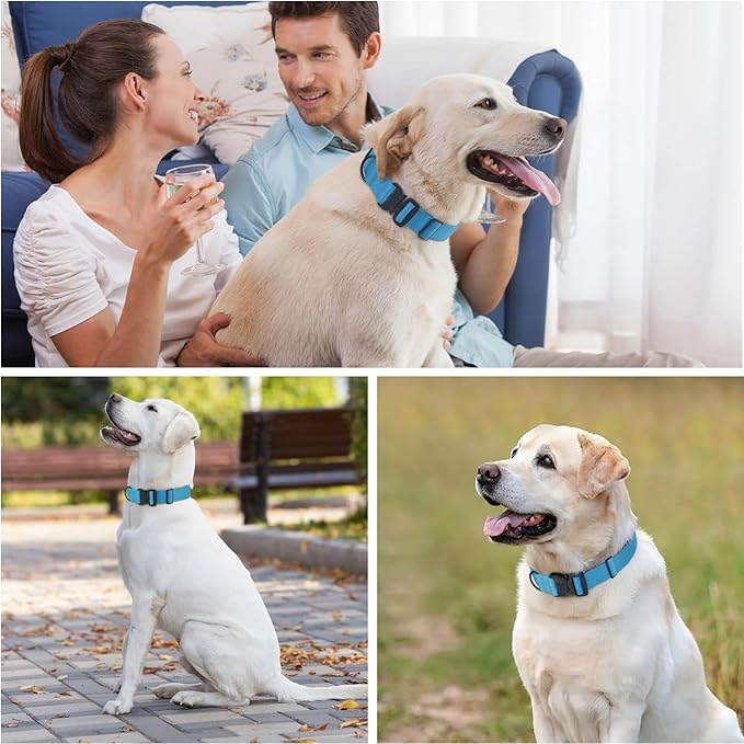 Heavy Duty Tactical Dog Collar Adjustable Nylon Pet Collars Quick Release Buckle with 2 D-Rings Patch for Medium, Large Dogs (Sky Blue, Size L)