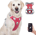TagME No Pull Dog Harness with 2 Leash Clips,Lightweight & Visible for All-Day Walking,No Choke Pet Vest Includes AirTag Holder for Large Dogs,Melon Red