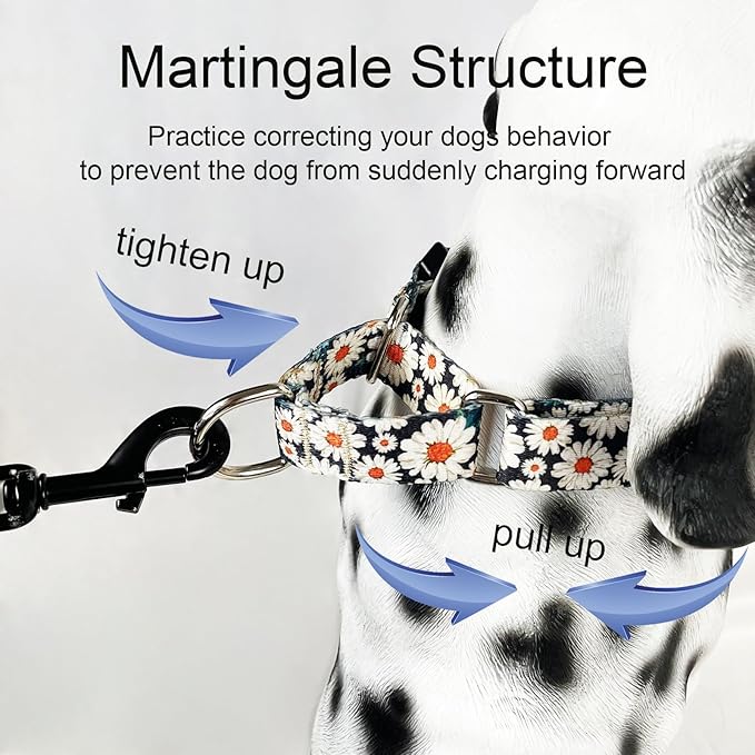 Martingale Collar for Dogs Flower Dog Collar with Quick Release Buckle Adjustable Nylon Soft Dog Collars for Small Dogs, Daisy