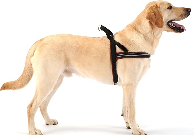 ComfortFlex Sport Dog Harness – No-Choke, Fully Padded, Non-Chafing Harness with Control Handle – Reflective, Lightweight, Adjustable for Active Dogs – Medium, Bordeaux