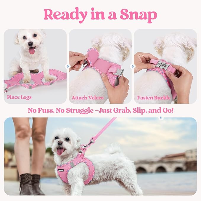 rabbitgoo Dog Harness Small Medium Sized and Leash Set, Step in Soft Light Puppy Vest, Breathable Mesh Pet Harness, Reflective for Safe Easy Walking, Pink & Plaid Trim L