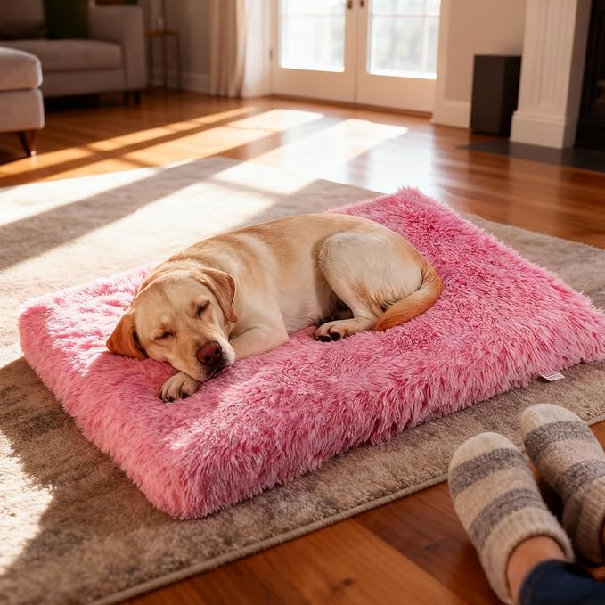 XL Orthopedic Dog Bed for Large Dogs, Dual-Layer Memory & Egg-Crate Foam, Washable Warm Winter Plush Cover, Waterproof Liner, Non-Slip Bottom, Crate/Kennel Pad, 44 x 32 Inch, Pink