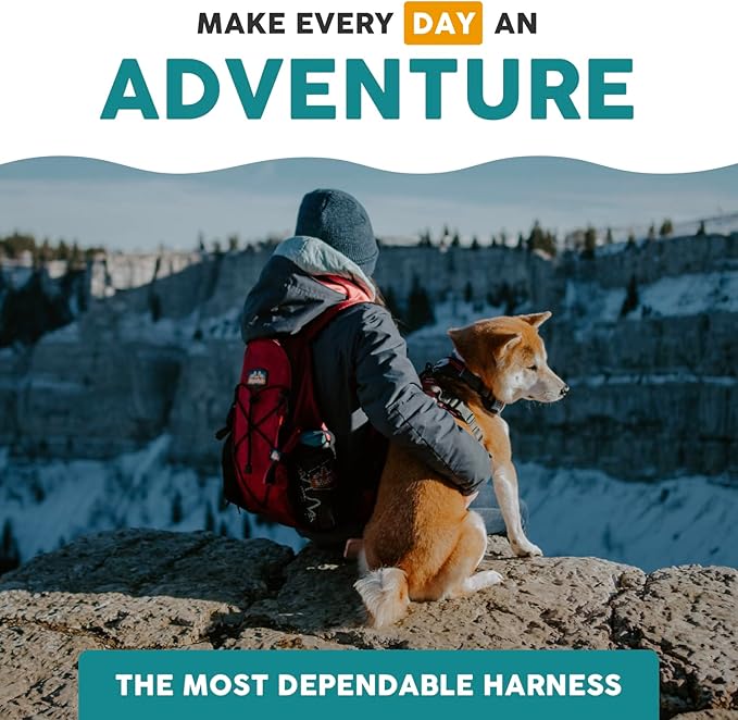 Embark Adventure Dog Harness, Reflective Trim No Pull Dog Harnesses for Small Sized Dogs - Military Grade Nylon, Front Clip with Gel Lined Handle.
