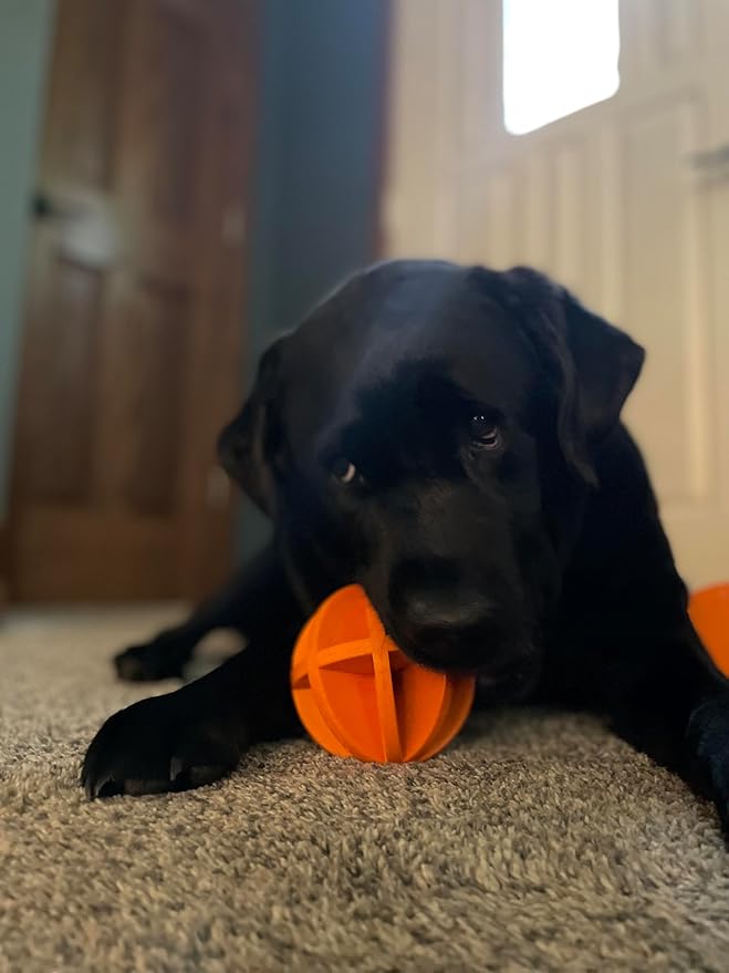4" Ball, Dog Chew Toy, Boredom Buster That Stimulates Your Dog's Natural Instincts