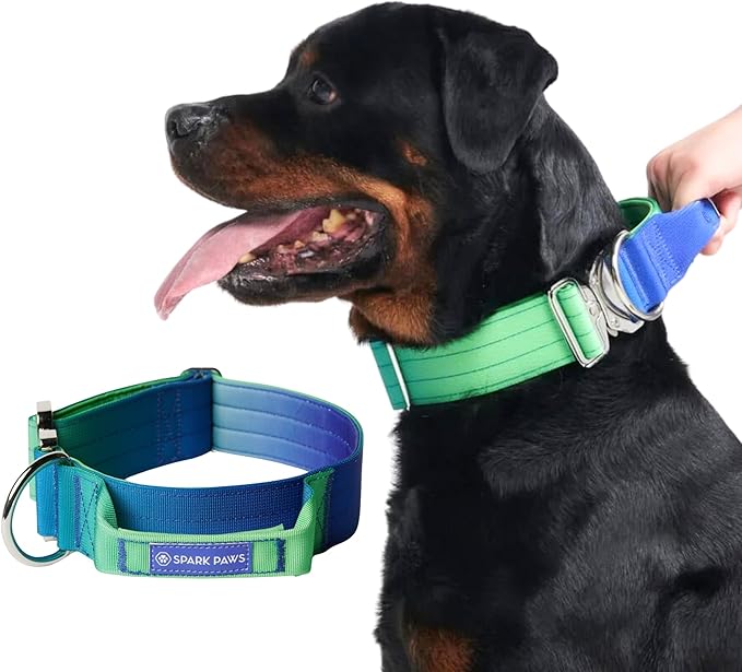 Spark Paws Tactical Dog Collar - Heavy Duty, Premium Quality, Thick and Durable for Large and Medium Dogs - Lime Wave - L
