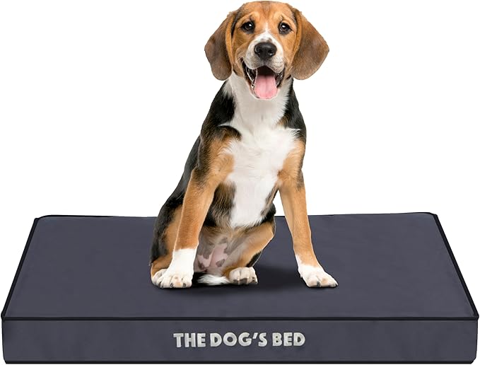 The Dog’s Bed Orthopedic Standard Foam Dog Bed Mattress, Oxford Fabric, Grey with Black Trim, Medium