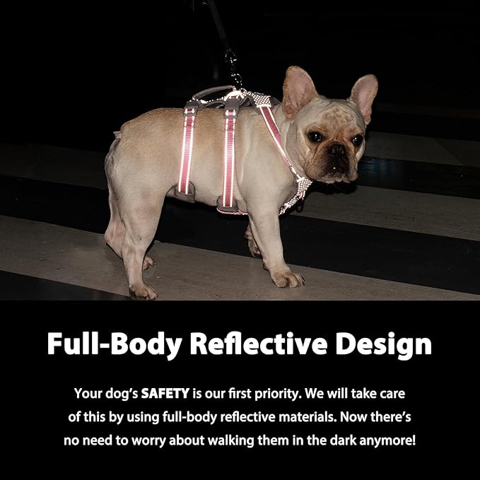 Huntboo Escape Proof Dog Harness,No Pull Reflective Harness with Lift Handle,Adjustable Pet Vest with Front and Back Leash Clips for Small Medium Large Dogs Walking Hiking Training(Lavender Purple,XL)