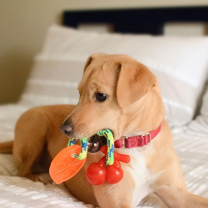 Friends Forever Dog Rope Toy, Tough Dog Chew Toys, Plastic Rubber Durable Puppy Teething Toy, Orange/Banana 2 Piece