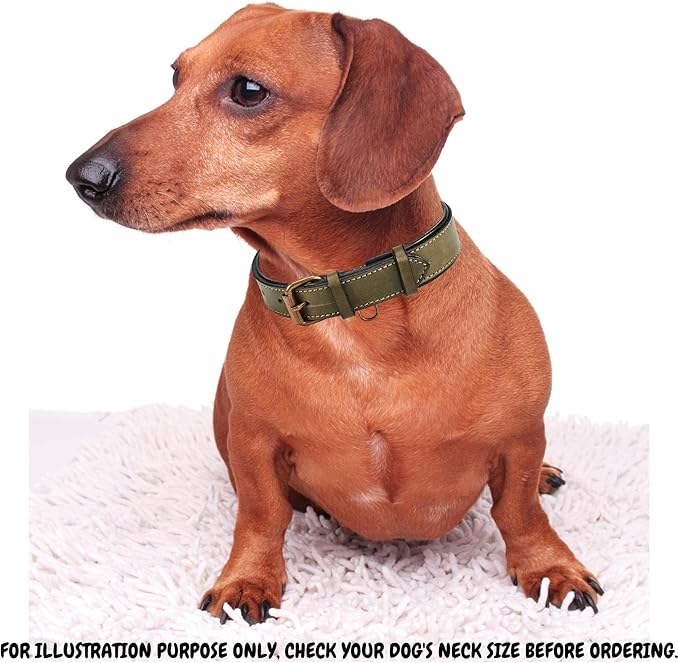 Real Leather Dog Collar Padded Soft Interiors with Premium Vintage Look Handcrafted Heavy Duty with Tag Ring for Small Medium and Large Pets (Medium (1.25" Wide for 13.5" - 17.5" Neck), Olive)