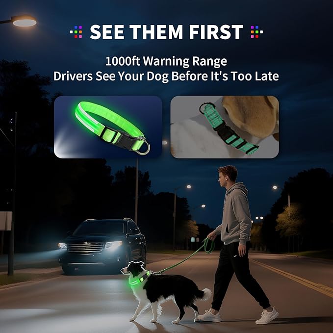 PetIsay Dog Light up Collar for Night Walking - High Visibility LED Dog Collar - Rechargeable - Waterproof - Reflective - Adjustable Lighted Glow Collars(Green, Medium)