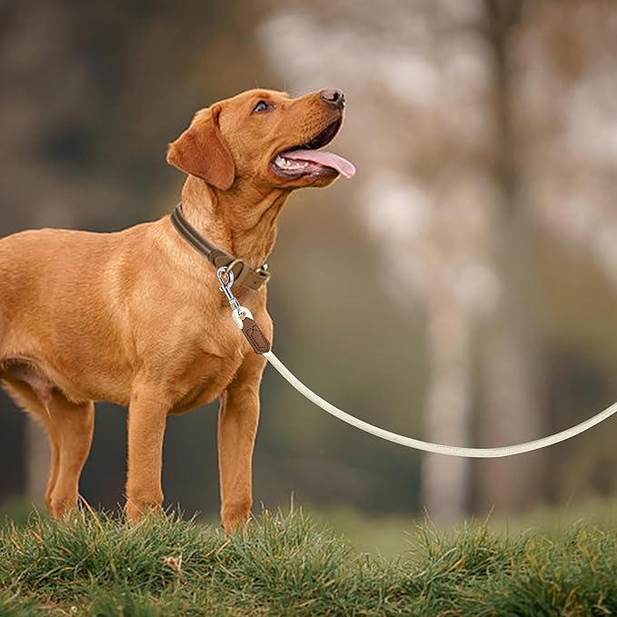 Mile High Life Leather Dog Leash, Heavy Duty Strong Genuine Leather Handle Rope Leash Soft and Comfortable for Small Medium Large Dogs (Cream White, 60 Inch)