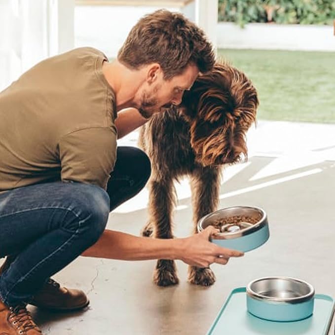Trot Pets Premium Dog Bowls | Stainless Steel Bowl Set for Small, Medium, or Large Dogs | Non-Slip Food and & Water Slow Feeder | Durable, BPA-Free, Anti-Skid, Dishwasher Safe (Bone, Small)