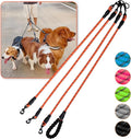 Three-Way No-Tangle Leash for 3 Dogs - Reflective, 360 Swivel for Large, Medium, Small Dogs