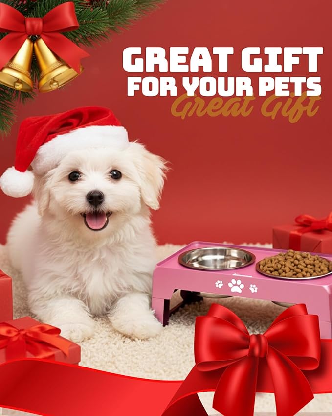 Elevated Dog Bowls, Dog Feeder with 2 Stainless Steel Dishes, 2 Heights Adjustable Raised Stand for Small Dogs, Food Dishes with Non-Slip Feet
