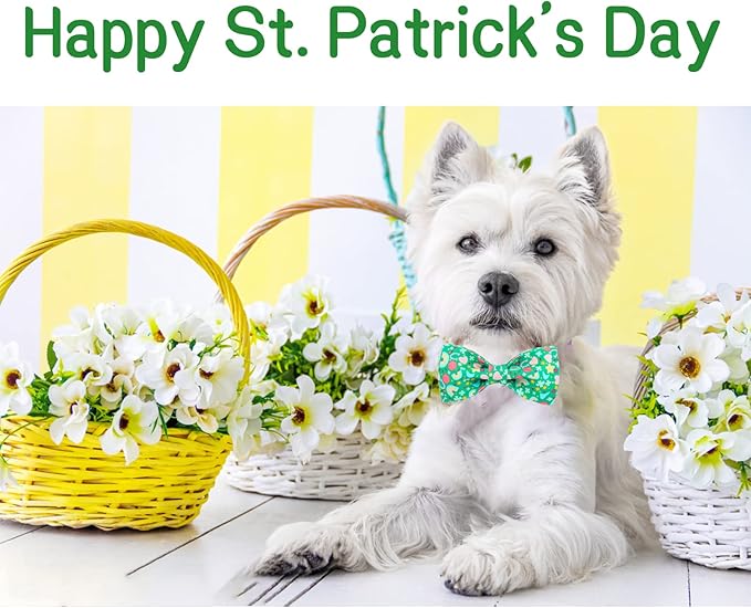 Unique style paws St. Patrick's Day Dog Collar with Bow Tie Rainbow Clover Heart Puppy Collar for Small Medium Large Boys Girls-XL