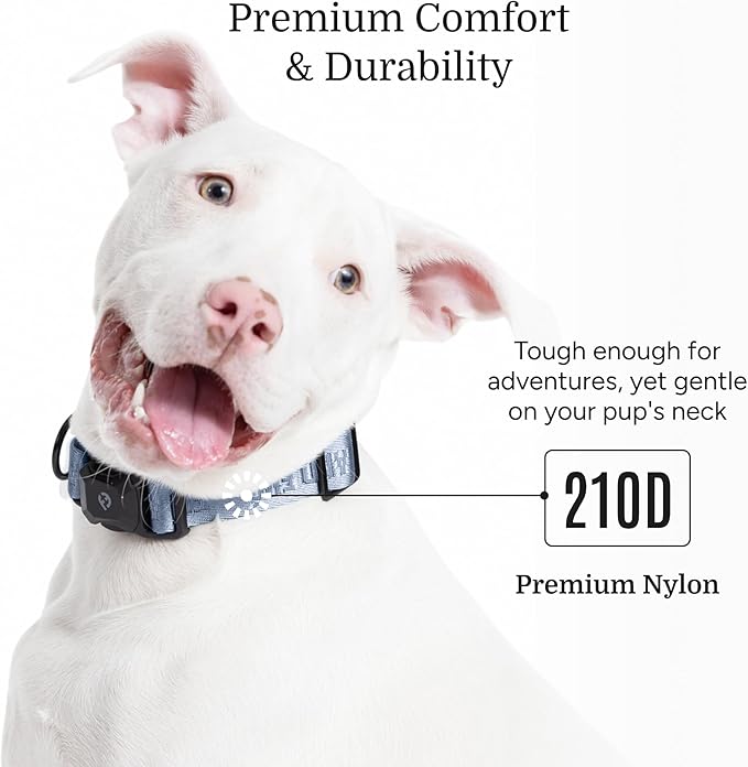 2026 New Edition, Fei & Eve MagEase Dog Collar - Patented Magnetic Buckles | Fur-Safe | Premium 210D Nylon | 450LB Escape-Proof | Adjustable Fit | Large (Dusk Blue)