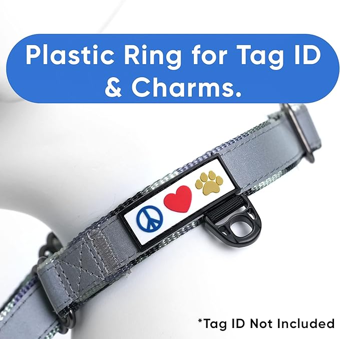 Pawtitas Personalized Dog Collar Martingale Dog Collar with Name Phone Number Reflective Martingale Dog Collar Customized Collar for Large Dogs | Camo Gray Custom Dog Collars for Large Dogs