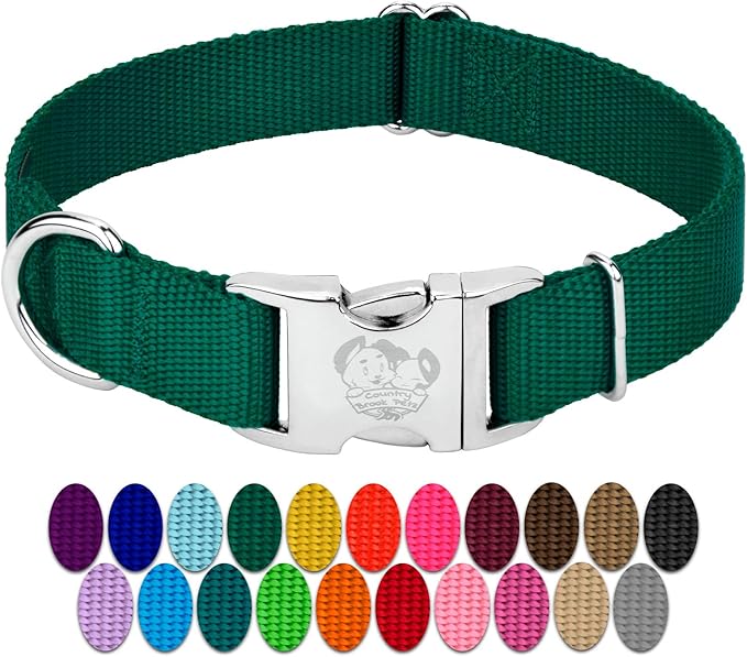 Country Brook Petz - Premium Nylon Dog Collar with Metal Buckle for Small Medium Large Breeds - 10+ Cool Colors (Large, 1 Inch, Green)