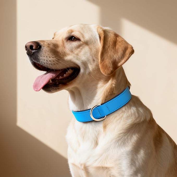 Didog Soft Padded Dog Collar for Large Dogs, Lightweight and Breathable Dog Collar with Metal Buckle, Blue, XL