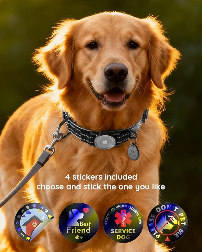 Upgrade Airtag Dog Collar,with IPX8 Waterproof AirTag Holder | Reflective Ultra-Durable | Soft Padded | Lock Buckle | Heavy Duty | Fit Small Medium Large Dogs（Black1，XL(19"～27")）