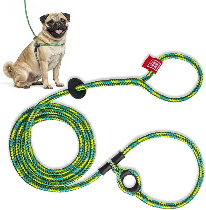 Harness Lead No Pull Dog Harness and Leash Set, Anti Pull Dog Harness, One-Piece Cushioned Rope Safely Prevents Escaping and Pulling *New Insert is Removable (Small/Medium, Rainforest)