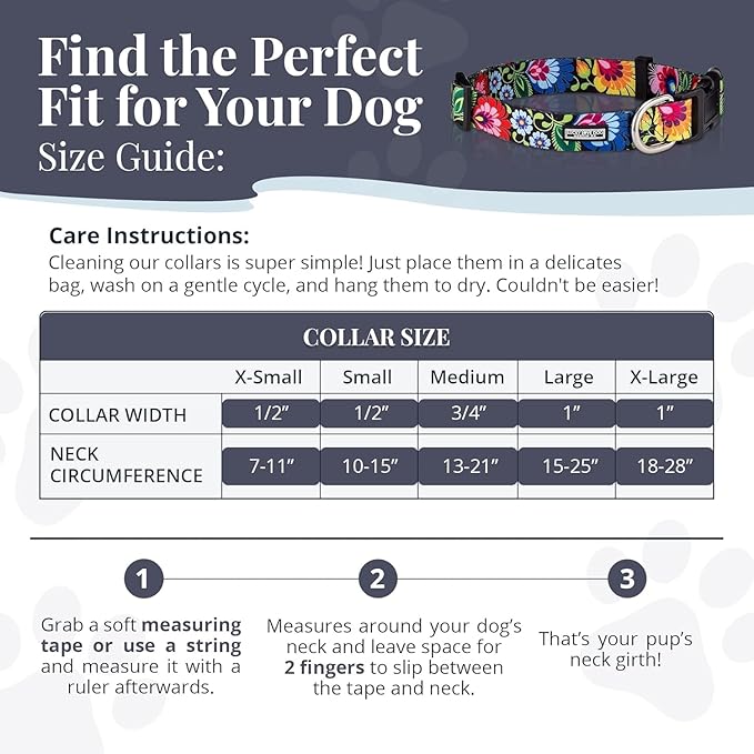 Lucky Love Dog - Easy Click Buckle Dog Collar with Leash Set Combo, Durable & Comfortable for Male & Female Dogs, Pet Collar for Large Dogs, Secure Fit - Hana Combo, Large
