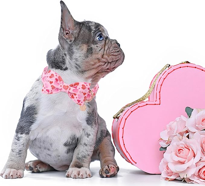 DOGWONG Valentine's Dog Collar with Bow - Cute Heart Bowtie Dog Collars, Adjustable Valentine Pink Heart Pet Collars Design Dog Collar with Quick Release Buckle for Puppy Girl Boy Female Dogs