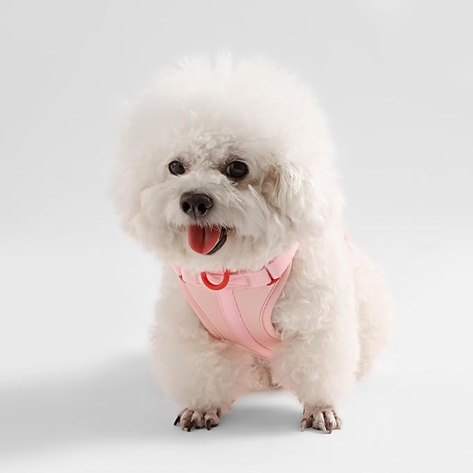 HNS1000G Arlo Extra Small Adjustable Soft Padded No Pull Pet Harness with 3 Buckles and 3 Leash Clips, Paloma