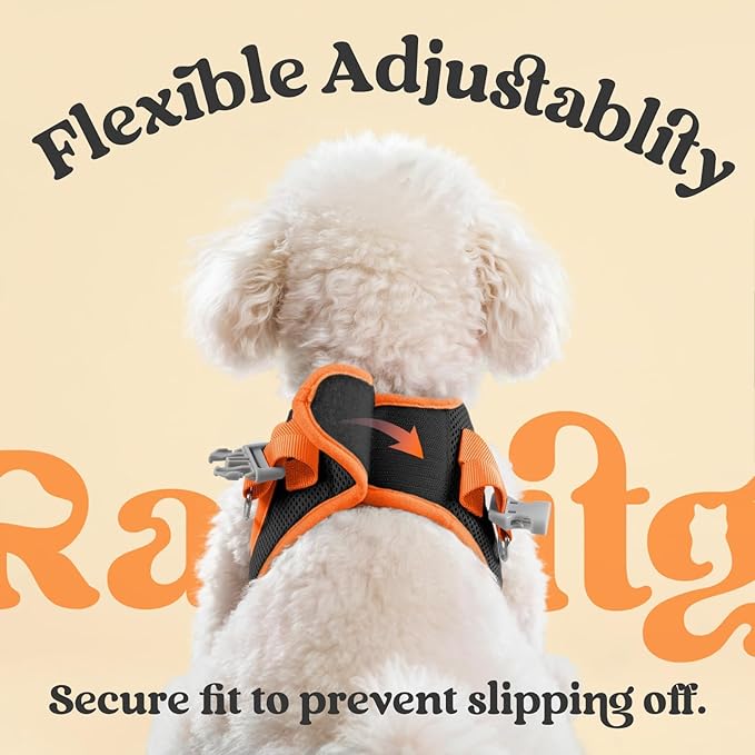 rabbitgoo Dog Harness Small Sized and Leash Set, Step-in Breathable Pet Harness, Soft Walking Reflective Puppy Vest for Small Dogs, Black & Orange, M