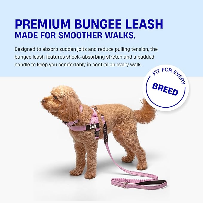 DF Co. Bungee Dog Leash | Strain Free & Shock Resistant for Control | Neoprene Padded Handle, Heavy-Duty Carabiner Clip, and D-Ring | Red, Size Regular