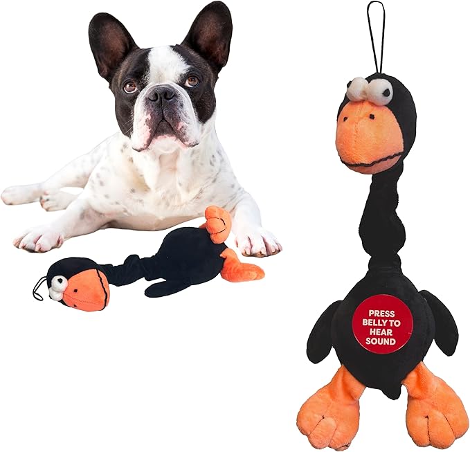SPOT Chirpies Plush Dog Toy – Bird Sound Squeaky Toy for Small and Medium Dogs, Light to Moderate Chewers, Stretchy Bungee Neck, Recycled Stuffing – 14 in, Assorted Styles