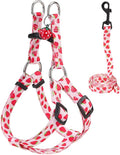 BEAUTYZOO Dog Harness Small Sized Dog Girl, No Pull Dog Harness and Leash Set,Step in Soft Light Puppy Vest, No Choke Heavy Duty Dog Halter with Bell,Breathable Adjustable Nylon Pet Harnesses, Pink XS