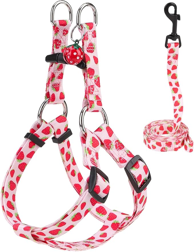 BEAUTYZOO Dog Harness Small Sized Dog Girl, No Pull Dog Harness and Leash Set,Step in Soft Light Puppy Vest, No Choke Heavy Duty Dog Halter with Bell,Breathable Adjustable Nylon Pet Harnesses, Pink XS