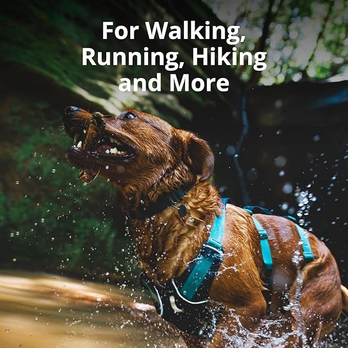 Ruffwear, Flagline Dog Harness, Lightweight and Reflective, No Pull Dog Lift Harness for Hiking, Running and Everyday Use, Sage Green, X-Small