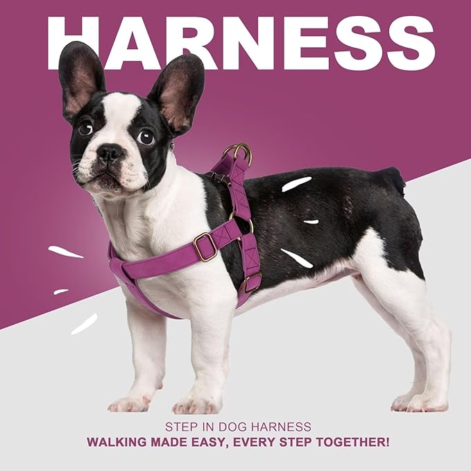 Didog Step in Dog Harness - PU Leather Dog Harness with Antique Bronze Metal Buckle, Easy Walk Dog Halter Harness for Medium Dogs Walking Training (Purple, S: Chest 16-22")