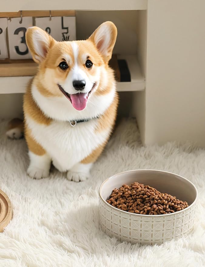 Ceramic Dog Bowls, Dog Food Bowls Water Bowl, 6.5inch Dogs Dishes for Middle and Small Size Dogs, Puppy Plates for Food, White