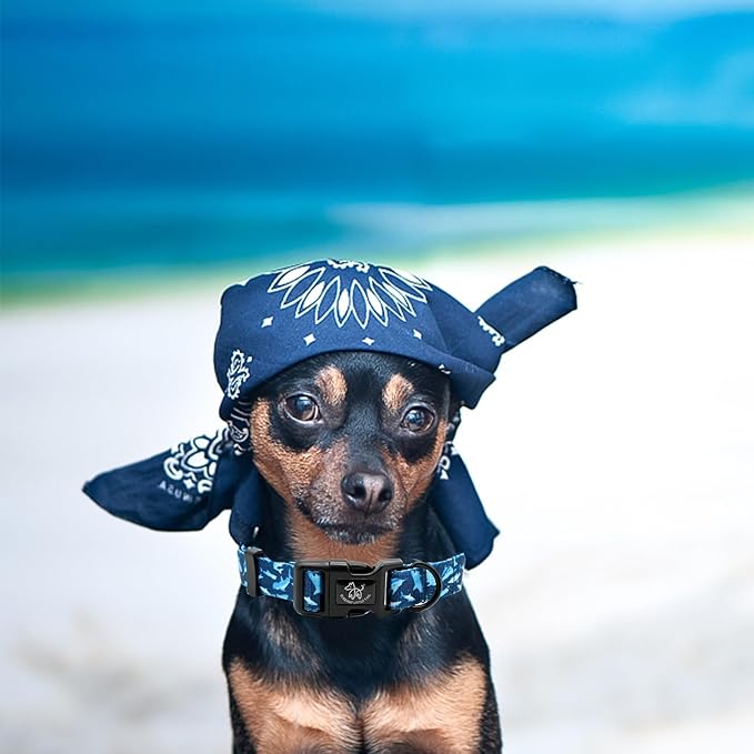 Elegant little tail Dog Collar with Leash, Shark Print Pet Collar Leash Adjustable Collar for Small Medium Large Dogs Soft Puppy Collars with Quick Release Buckle Girl Boy Dog Collars