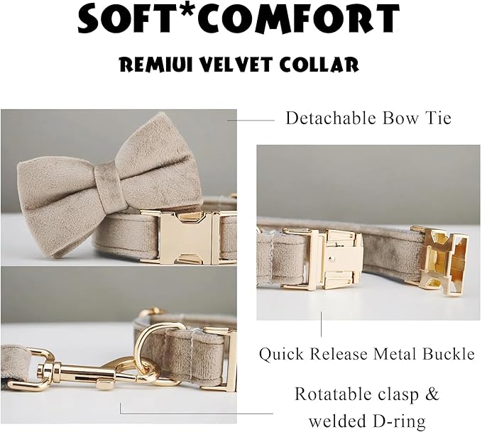 Personalized Velvet Dog Collar with Name & Phone Custom Dog Collar Personalized Name and Phone Number, Custom Collar Leash for Dogs, Engraved Metal Buckle Collar (Style - A)