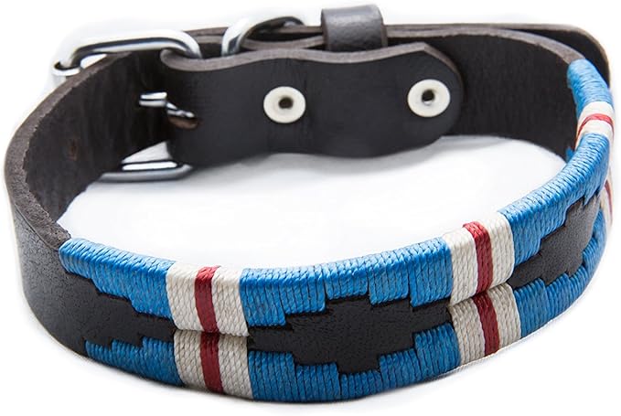 Gaucho Goods Soft Leather Dog Collar - The Pacific (M)