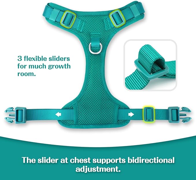 No Pull Dog Harness for Small Medium Large Dogs - Adjustable 2 Layer Mesh Dog Vest with Dual Clip, Escape Proof, Quick Release, Lightweight Breathable Mesh for Walking Hiking (MARRS Green,XL)